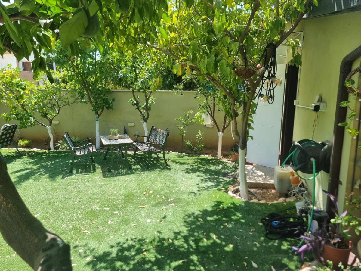 B&B Amit 18 Minutes From The Airport - אירוח כפרי עמית 18 דקות משדה תעופה Petach Tikva ภายนอก รูปภาพ